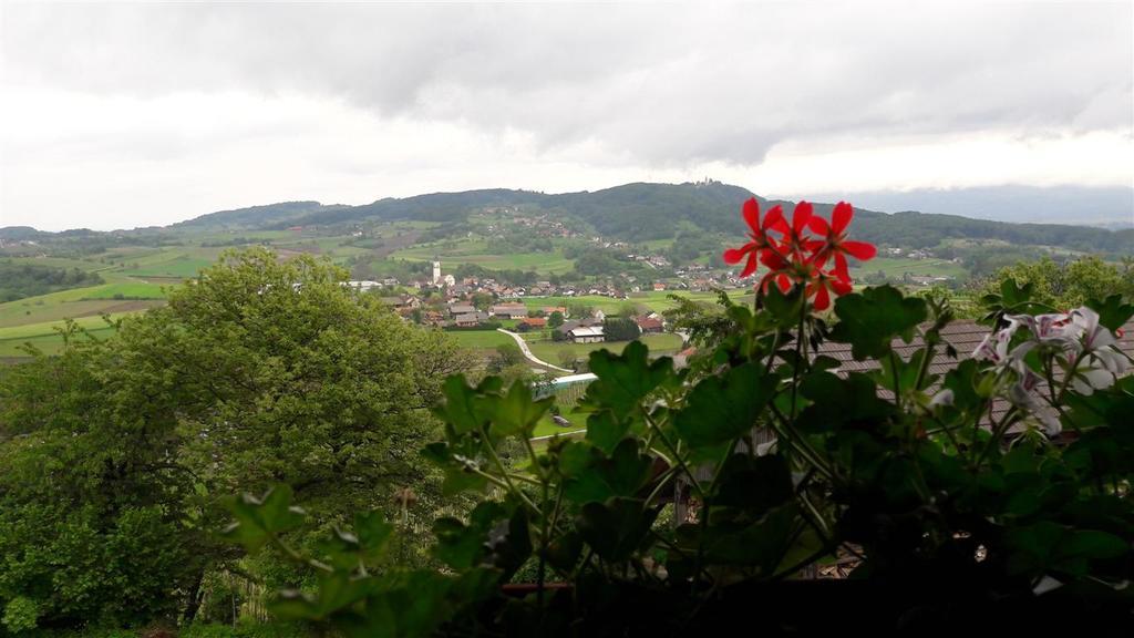 Tourist Farm Skrbina Appartement Otočec Buitenkant foto